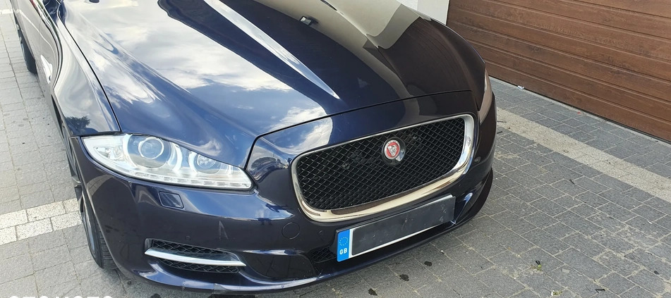 Jaguar XJ cena 40500 przebieg: 182000, rok produkcji 2014 z Kościan małe 379